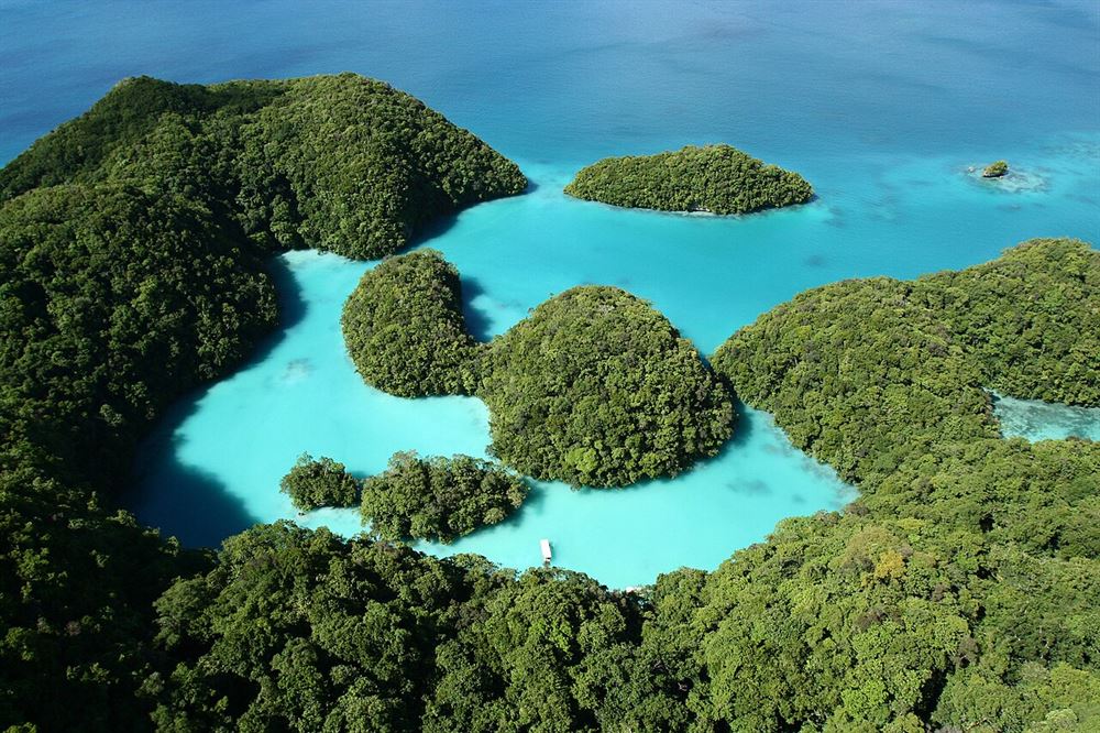 Zatoka Milky Way na Palau
