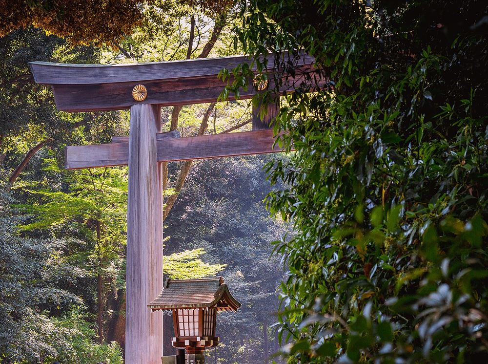 Brama torii chramu Meiji Jingū
